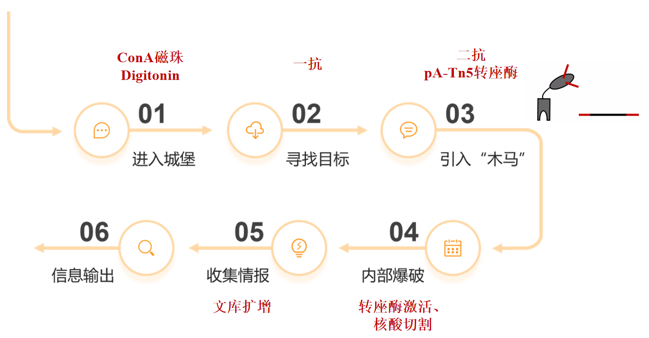 分子特洛伊木马.png