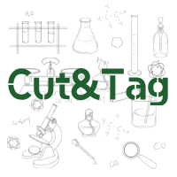 CuT&Tag 快速建库试剂盒 V1